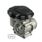A/C compressor oil