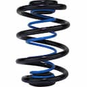 Auxiliary spring