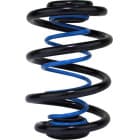 Auxiliary spring