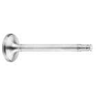 Exhaust valve
